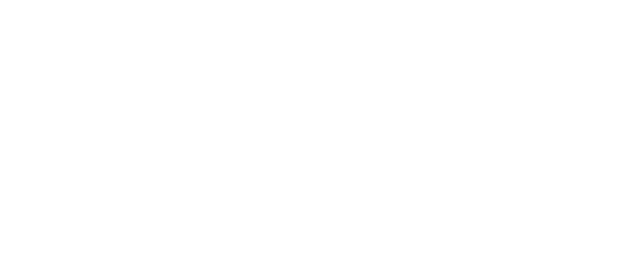Icon Modul 3 | Strategie