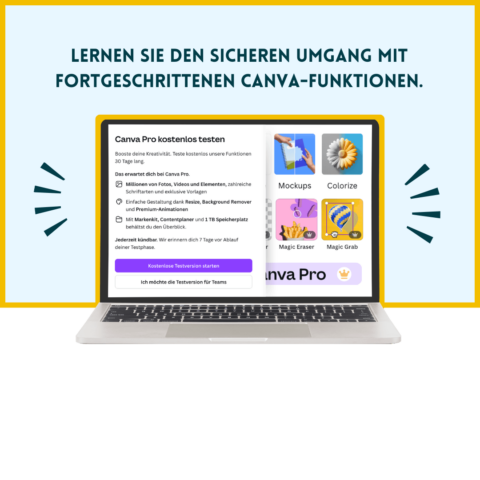 Canva Pro Seminar – Online & Live für Fortgeschrittene